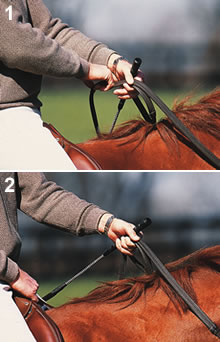 Secure Bridle Reins for Longeing, In-Hand Work
