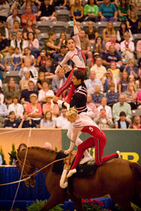 U.S. Vaulting Team Leads With High Score