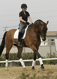 2005 FEI Junior-Young Rider Clinic Series