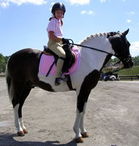 Resources for Young Dressage Riders, Parents