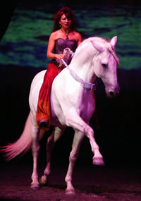 Cavalia Equestrian Show Heads to Boston