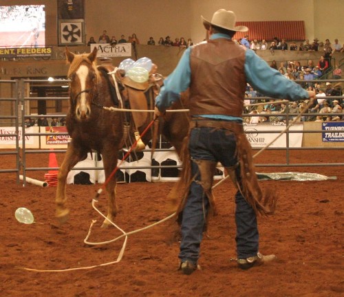 Photo Gallery: 2011 Road to the Horse Clinicians At Work