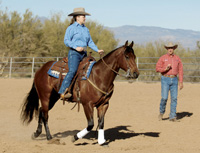 Reining Hand Position in the Rollback, Spin