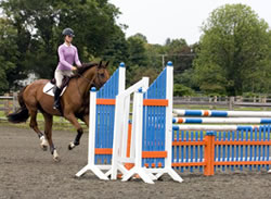 Tips for Riding the Triple Bar Fence