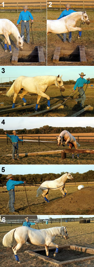 Flex Your Horse’s Neck from the Ground