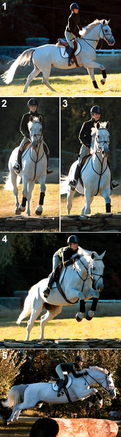 How to Keep Your Horse Straight to Fences