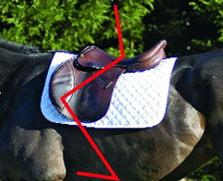 Make Sure Your Jumping Saddle Fits You, Too