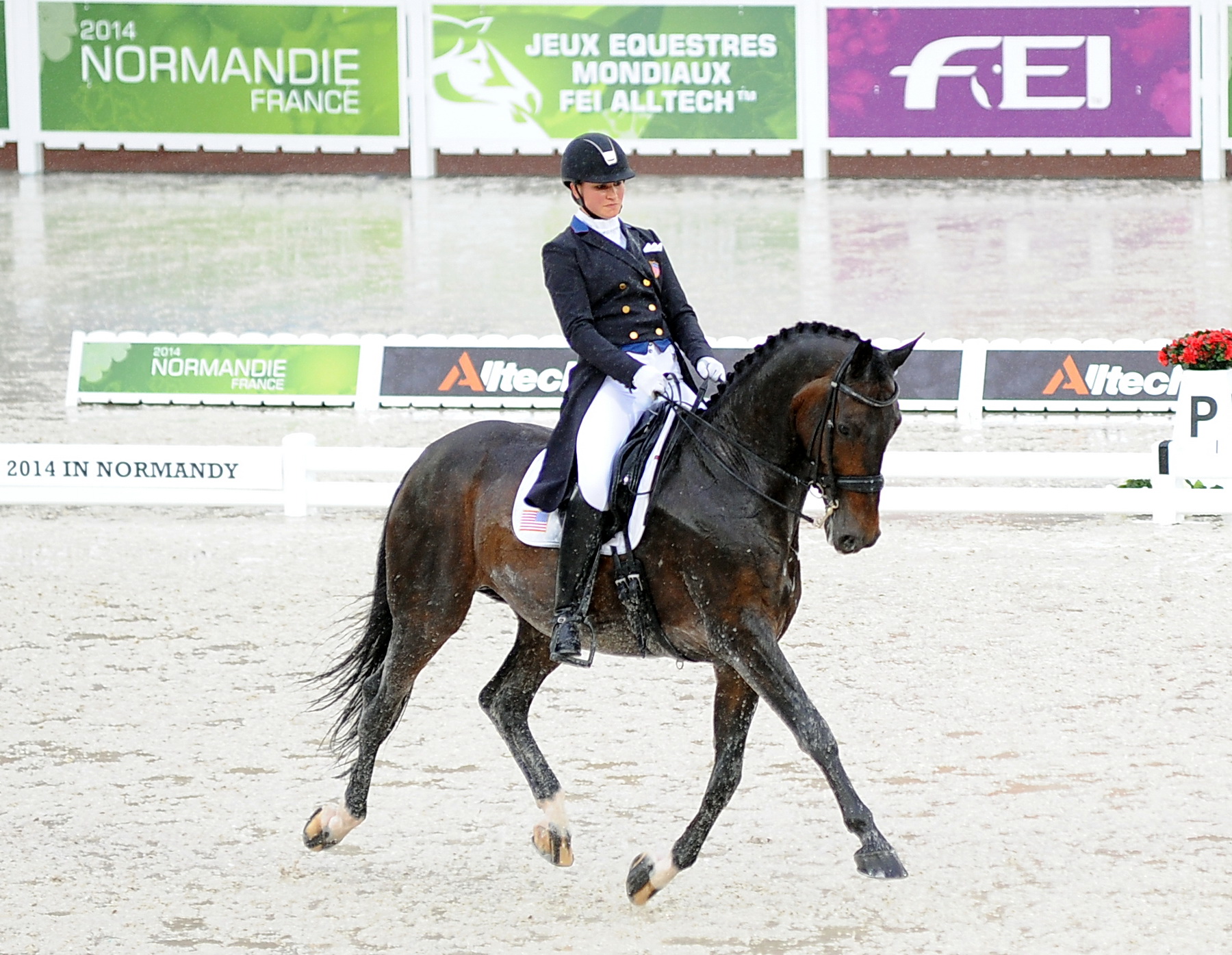Postcard: Alltech FEI World Equestrian Games Grand Prix Dressage Competition, Day One