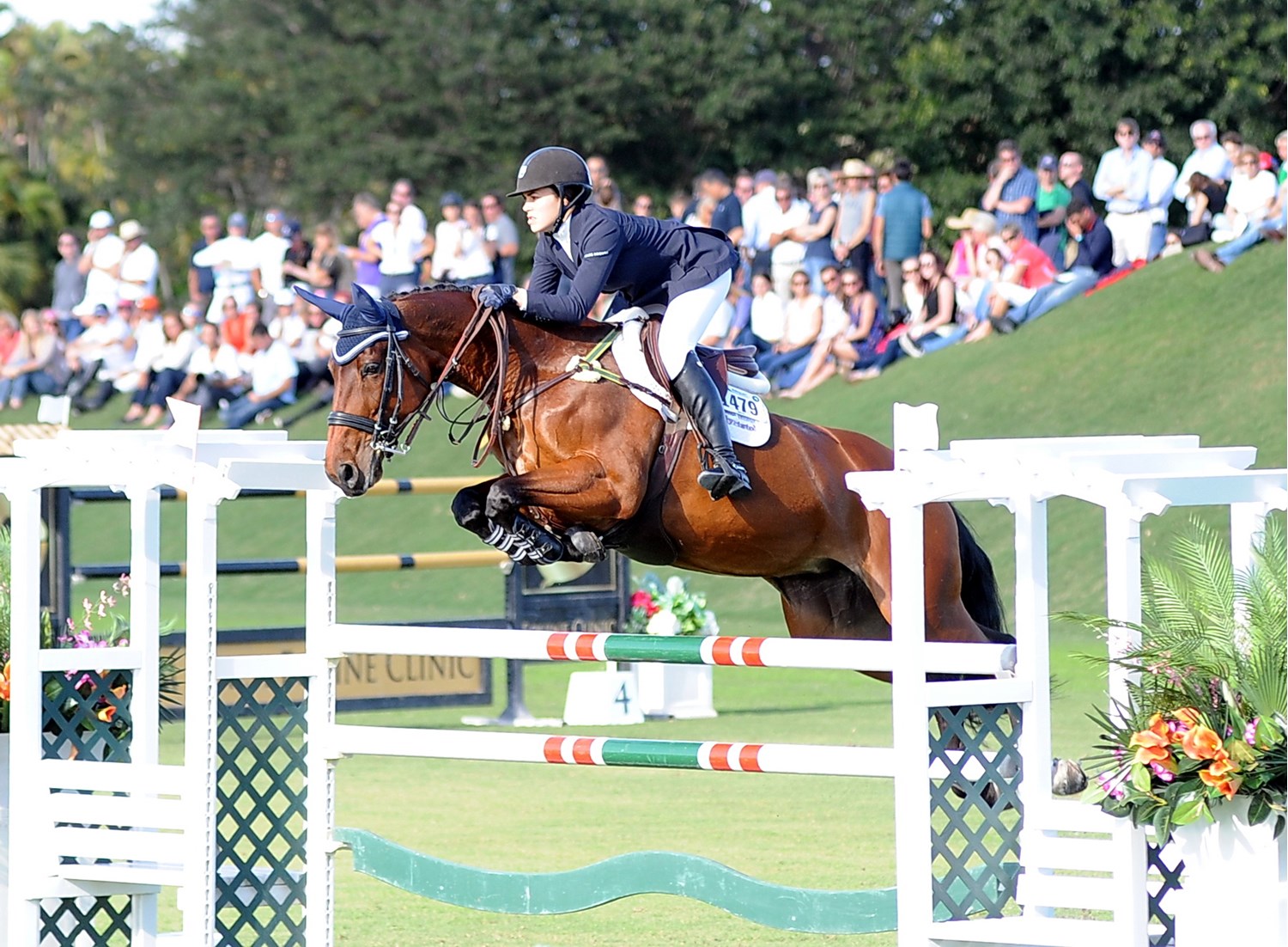 Postcard: Show Jumping at the 2015 Winter Equestrian Festival