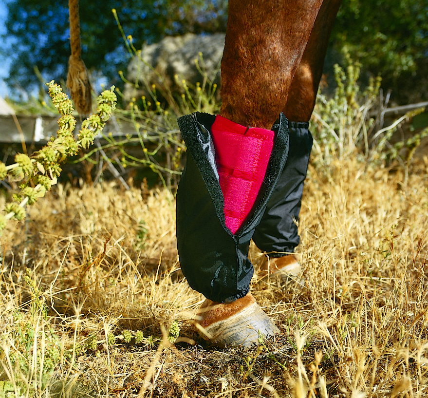 Preserve Your Horse’s Sports Medicine Boots