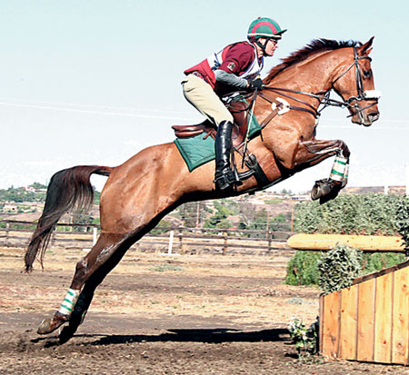 Your Horse Needs Fitness To Perform