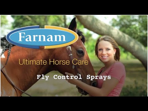 Protect Your Horse from Diseases Carried By Insect Pests