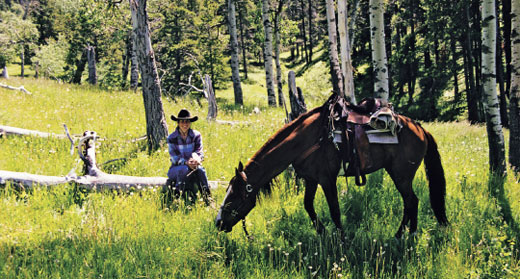 Protect Your Horse From Toxic and Poisonous Grasses
