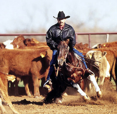 Fast Facts About the 2011 American Quarter Horse Congress