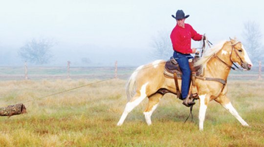 Ranch Horse Versatility