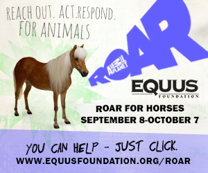 Reach Out. Act. Respond.—for Horses