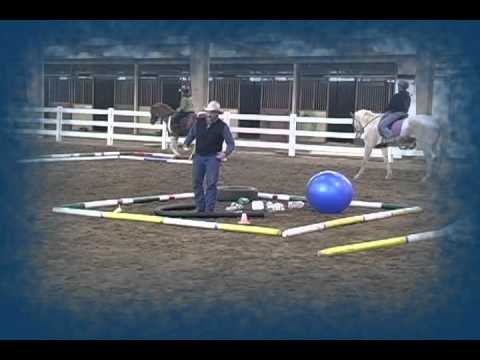 Reducing Stress and Desensitizing a Horse
