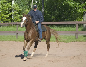 Perfect Harmony: Riding “Blind” Tunes You In To Your Horse’s Motion