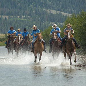 Teach a Horse to Cross Water or a Stream