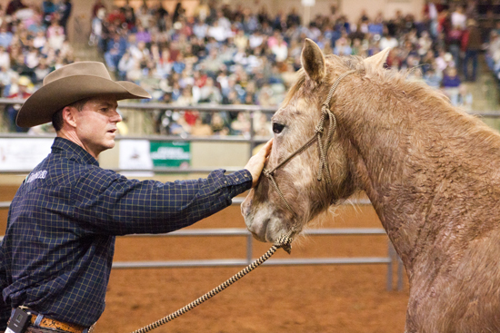 Undefeated Road to the Horse Champion Chris Cox Returns for 2015