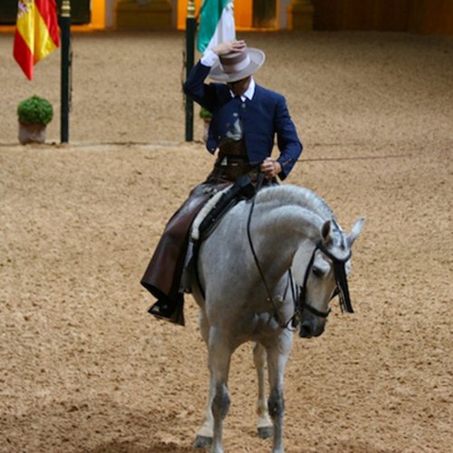 Spain’s Royal Andalusian School of Equestrian Art