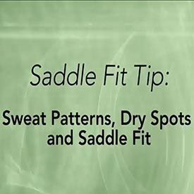 Jochen Schleese Saddle Fitting Tip – Sweat Patterns, Dry Spots and Saddle Fit