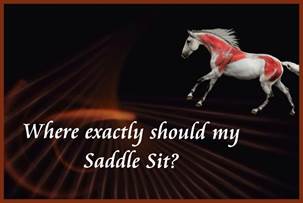 Saddle Fitting Tip: Where Exactly Should My Saddle Sit?