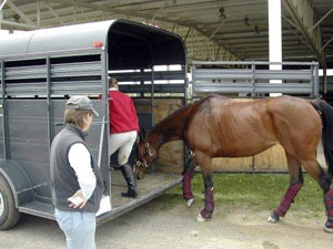 Horse Trailering Tips