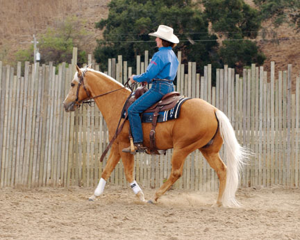 Sandy Collier’s Western Horse Training Secrets