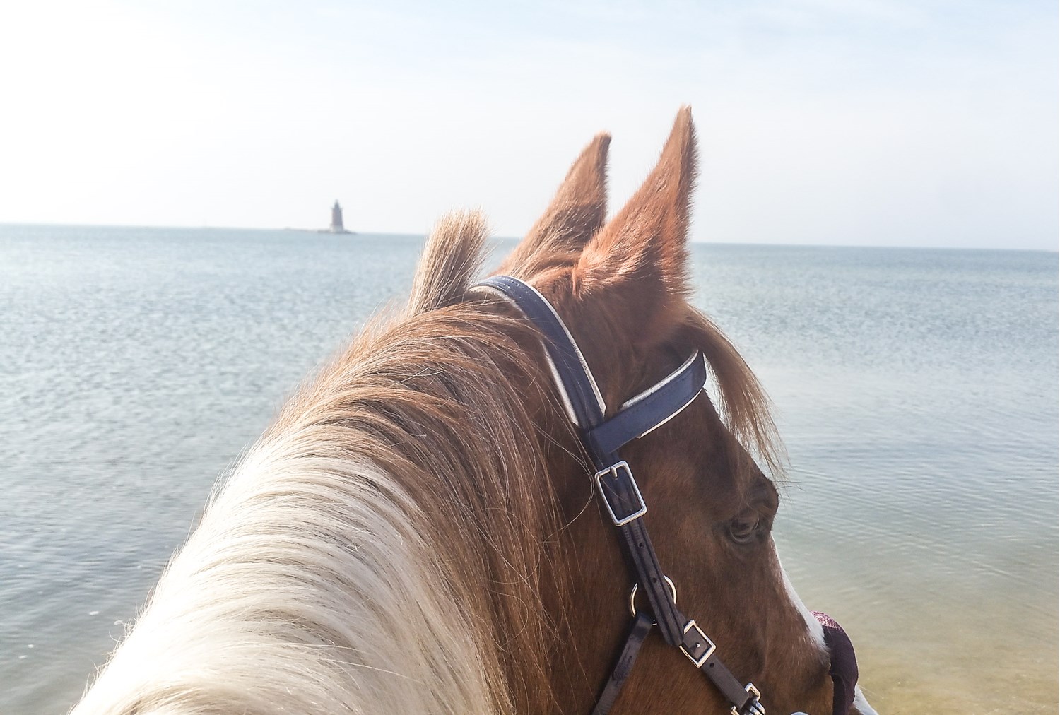 Sandy Ponies and Renewing Rides