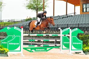 Tom Foley Saves The Best For Last in the $34,000 1.50m FEI Speed Stake To Start Off Tryon Summer 2