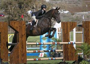 Jenkins Takes Early Lead After First Two Phases of 2015 Platinum Performance/USEF Show Jumping Talent Search Finals West