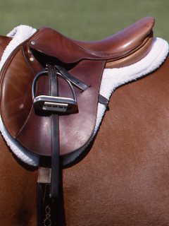 Seven Saddle-Fit Points that Every Rider Should Know
