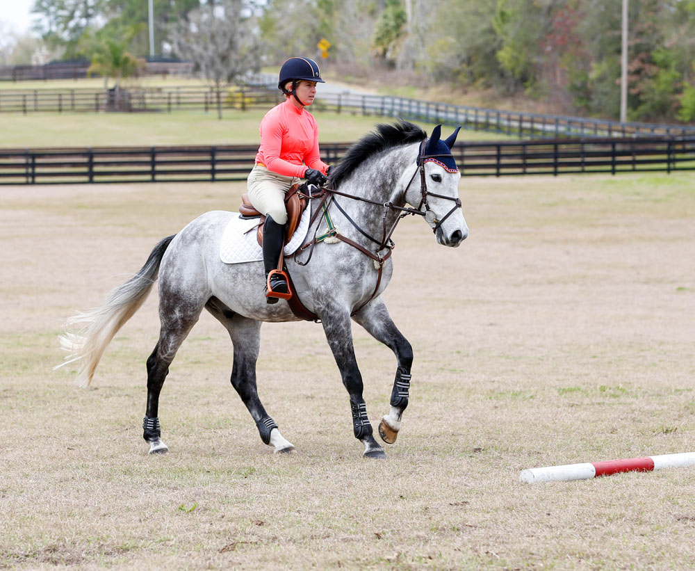 Sharon White: Become A Self-Confident Leader for Your Horse