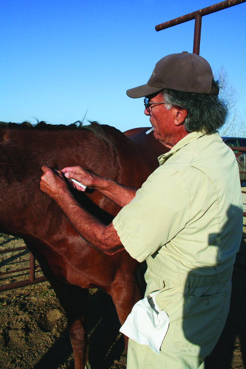 Simple Tips for Easy Horse Deworming and Vaccinating