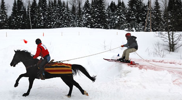 Slide Into Skijoring with Your Horse