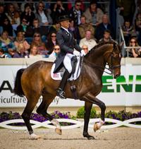 Strong Results for U.S. Riders on Final Day of CHIO Aachen