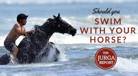 Summer fun: Should you swim with your horse?
