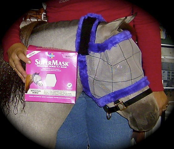 American Miniature Horses At Nationals Receiving SuperMask Fly Masks by Farnam