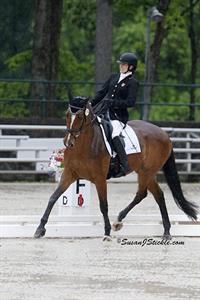 Talented Field Lines Up for USEF Para-Equestrian Dressage National Championship
