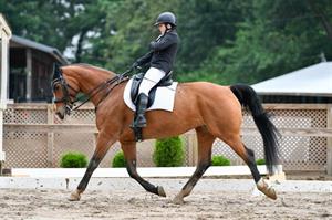 Collier and Hardin Secure Top Honors at 2016 USEF Para-Equestrian Dressage National Championships sponsored by Deloitte and Selection Event for the Rio 2016 Paralympic Games