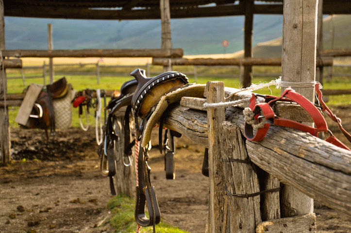 Tack Maintenance: Cleaning Non-Leather Tack