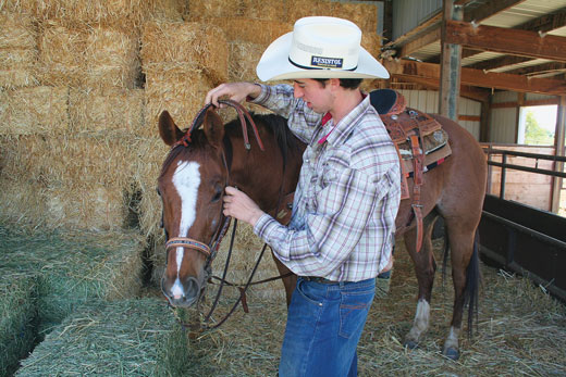 Team Roping Success: Increase Your Horse’s Performance