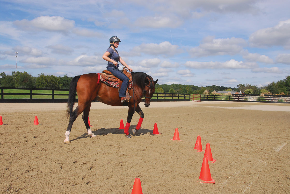 The Confident Rider: Get Softness and Control