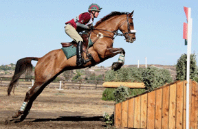 The One-Fall Rule Doesn?t Really Promote Rider Safety In Three-Day Eventing