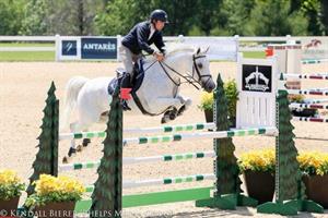 Theo Genn Earns Top Slots  in Open Jumper Divisions at Great Lakes Equestrian Festival