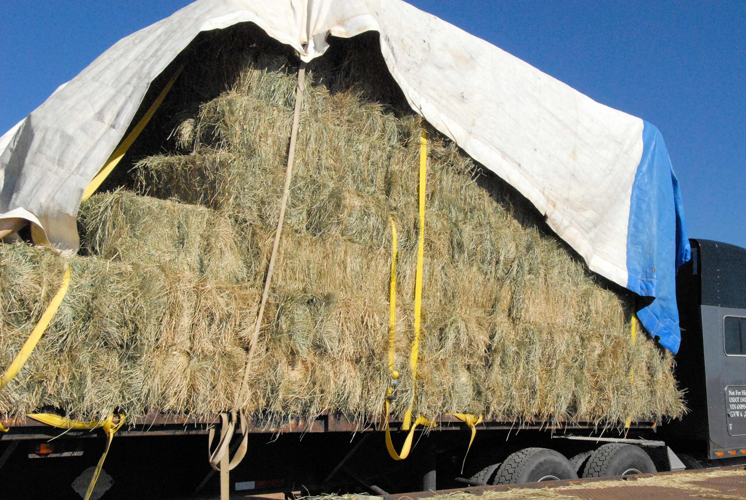 Tips on Storing Horse Hay