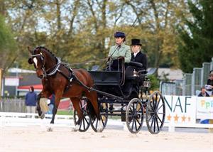 U.S. Stands Sixth after Dressage at 2013 FEI Pony World Driving Championships