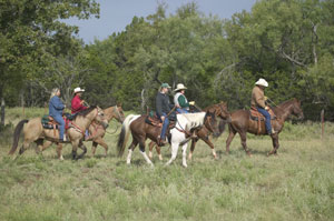 Safety Guidelines for Horseback Riding on the Trail