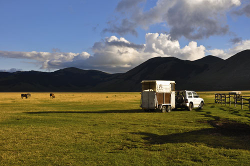 Hitting the Road With Your Horse: Finding the Right Horse Trailer